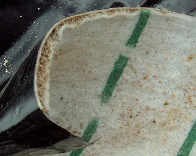 фото Геоматы BENTOMAT