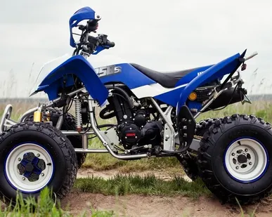 фото Квадроцикл IRBIS ATV 250S