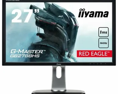фото Монитор Iiyama G-Master
