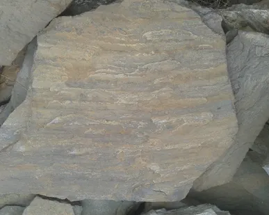 фото Пластушка