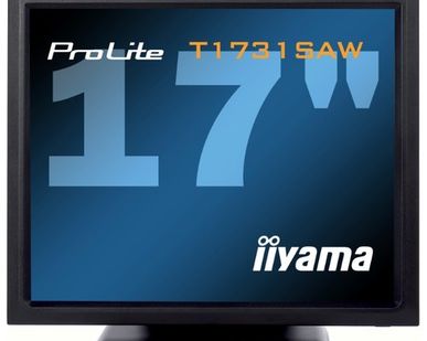 фото Монитор Iiyama ProLite T1731SAW-1