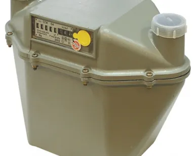 фото Счётчик газа СГМН-1G6