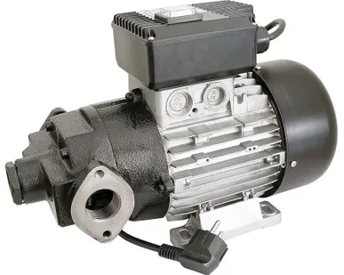 фото AG-100 230 VAC - Самовсасывающий роторный лопастной электронасос для ДТ