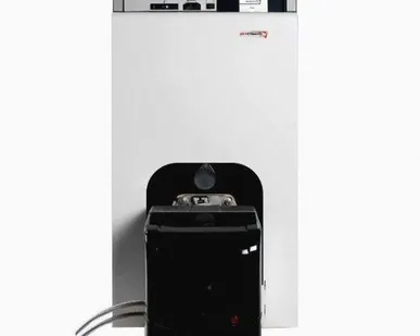 фото Напольный газовый котел комбинированный Protherm Бизон 40NL