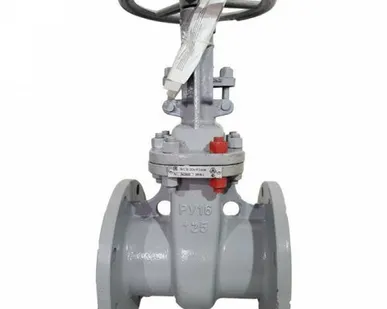 фото Задвижка клиновая сталь 30с41нж Ду 100 Ру16 фл