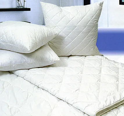 Фото №0 Химчистка подушек из пера