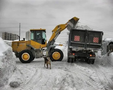 фото Аренда снегоуборочного погрузчика 3CX