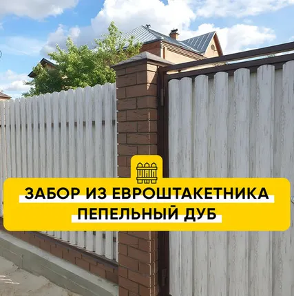 Фото №0 Забор из Евроштакетника Пепельный Дуб
