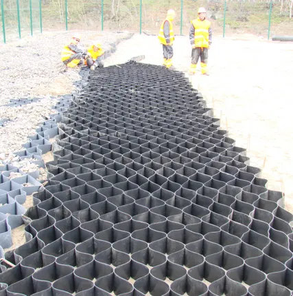 Фото №1 Георешетка обьемная