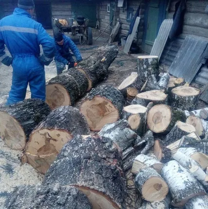 Фото №0 Удаление деревьев