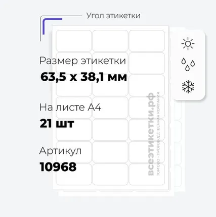 Фото №0 Всепогодные Серебряные этикетки из полиэстера 10362 APLI