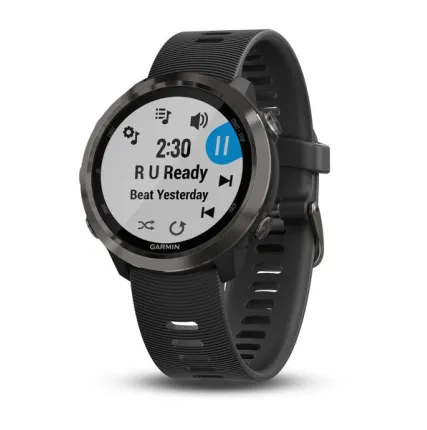 Фото №0 Часы Garmin Forerunner 645 Music серые с черным ремешком