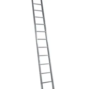 фото Лестница односекционная Alumet Ал 5114