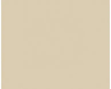 фото Керамогранит КЕРАМИКА БУДУЩЕГО Керамический гранит Керамика Будущего Аворио CF100PR 60 х 60 см бежевый полированный ректификат