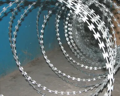 фото егоза 500