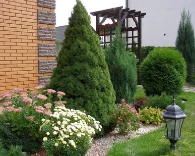 фото Озеленение