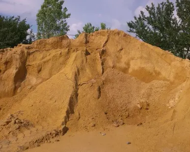 фото Тырса- фракция 0-0,5мм