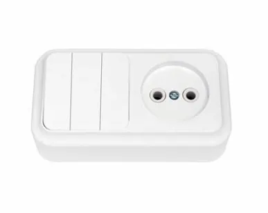 фото Блок О/У Выключатель 3-кл + розетка Пралеска Bylectrica 3В-РЦ-525