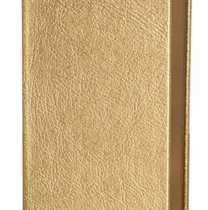 Фото №0 Ежедневник Ingot, недатированный, золотистый