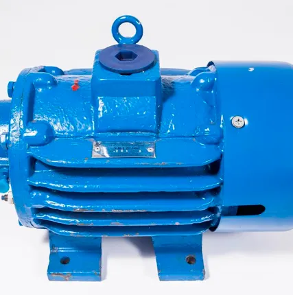 Фото №1 Вакуумный насос роторный