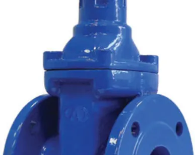 фото Задвижка чугунная серии KR11 ГРАНАР с обрезиненным клином