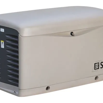 Фото №0 Газовый генератор SDMO