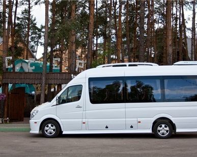 фото Транспорт пассажирские перевозки