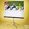 фото Экран Consul AV (1:1) 60/60" 152*152 MW