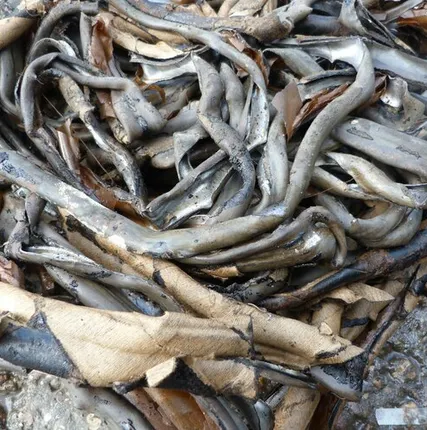 Фото №0 Свинец