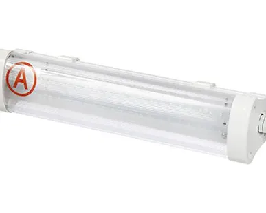 фото Накладной аварийный светодиодный светильник OS-NIP-65-A3-10T