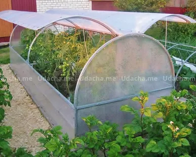 фото ТМКН Парник ТМКН Слава СП, Бабочка