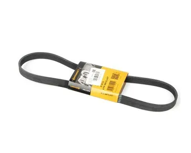 фото Ремень поликлиновой CONTITECH 6PK989