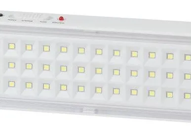 фото Светильник светодиодный DBA-103-0-20 60LED 5ч IP20 аварийный непостоянный Эра Б0044396