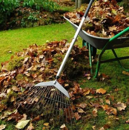 Фото №0 Уборка участка