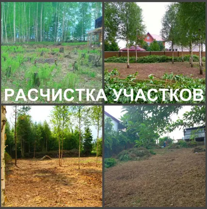 Фото №3 Расчистка участков. Мы расчистим ваш участок на совесть.