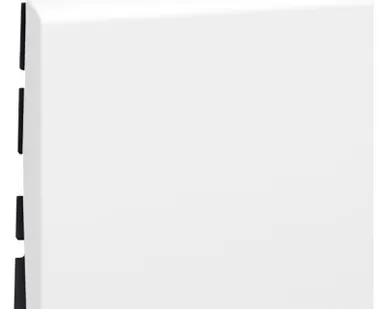 фото Механизм выключателя 1-кл. 2мод. СП Mosaic 10А IP31 250В 10AX бел. Leg 077010