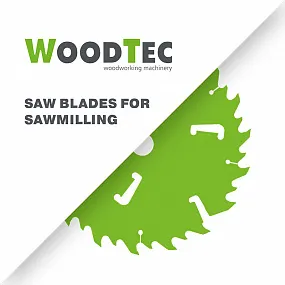фото Пила дисковая Ø300 х 50 х 3,5/2,2 Z = 18 + 18 + 4 WoodTec