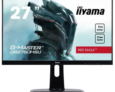 фото Монитор Iiyama G-Master