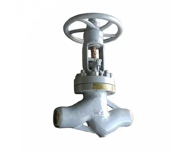 фото Клапан запорный Т-109б