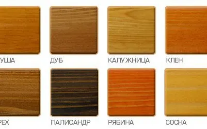 Фото №1 Антисептик защитный лессирующий 2-в-1 Орех Биотекс (Bioteks) 2.7л