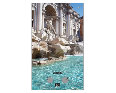 фото Водонагреватель ZANUSSI GWH 10 FONTE GLASS TREVI