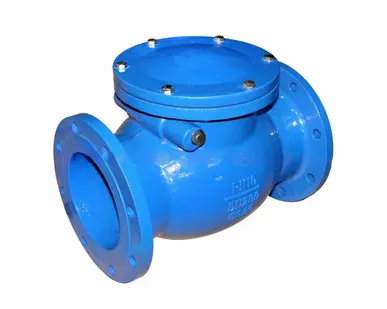 фото Клапан обратный поворотный 19с17нж