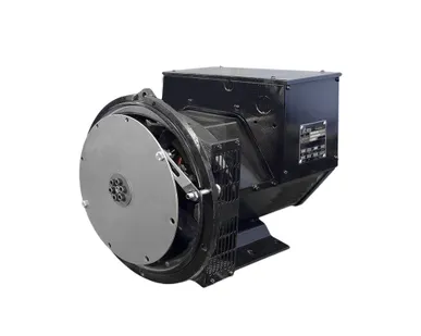 фото TSS-SA-12