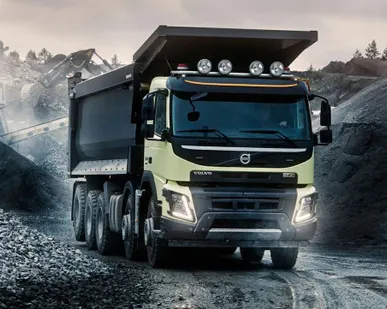 фото Скальник