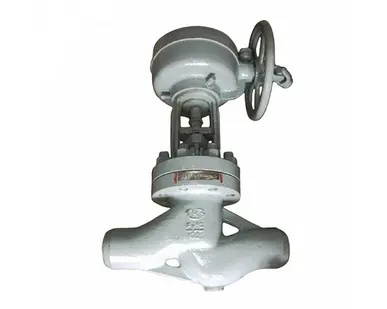 фото Клапан запорный Т-111б