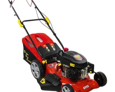фото Газонокосилка DDE LM 51-60 D