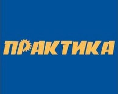 фото Круг лепестковый с оправкой ПРАКТИКА 60х30мм, комбинированный
