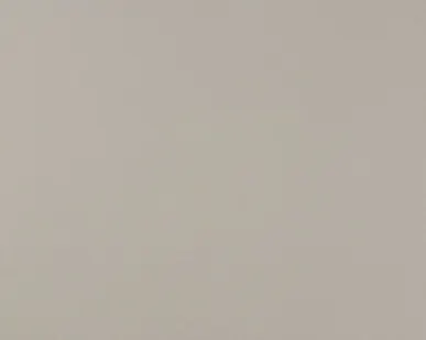 фото Atlas Concorde ARKSHADE Arkshade Light Dove 40x80 (8AKV) Керамическая плитка