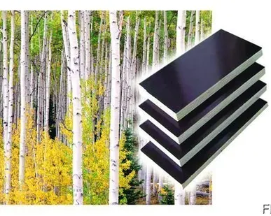 фото Фанера ламинированная 1.22*2.44 м на 18 мм Россия\Китай