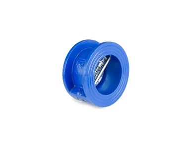 фото Клапан обратный Ду 50 межфланцевый REON 050RSV32-NEW